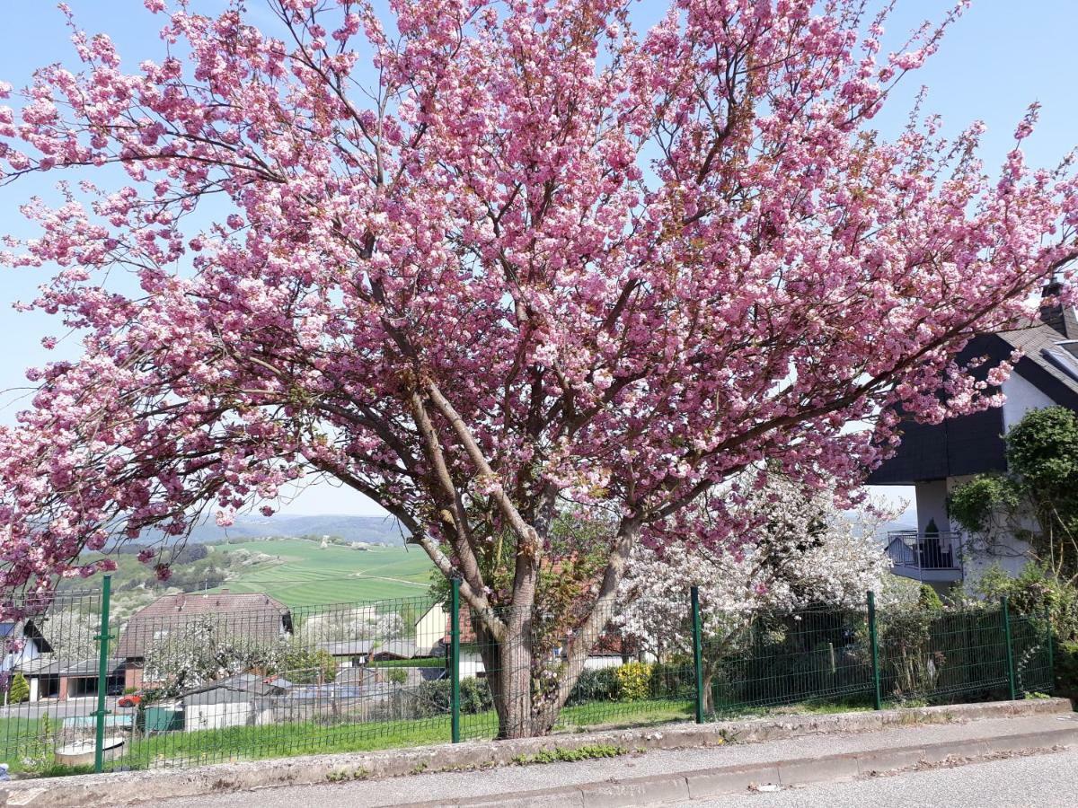 Haus Der Rosen Lägenhet Boppard Exteriör bild